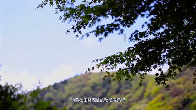 洗衣液和柔顺剂可以一起使吗